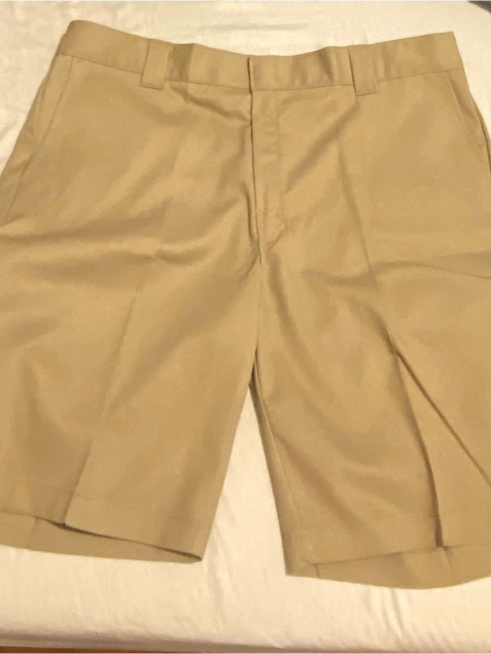 Dickies Men's Tan Flat-Front Work Shorts